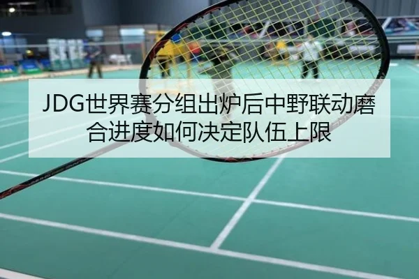 JDG世界赛分组出炉后中野联动磨合进度如何决定队伍上限